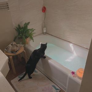 大胸美女被操高潮
