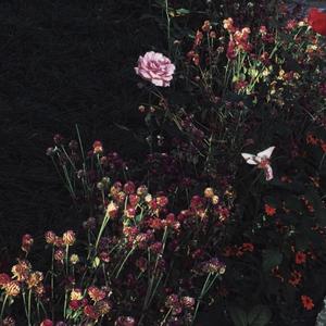 大胸美女被操高潮
